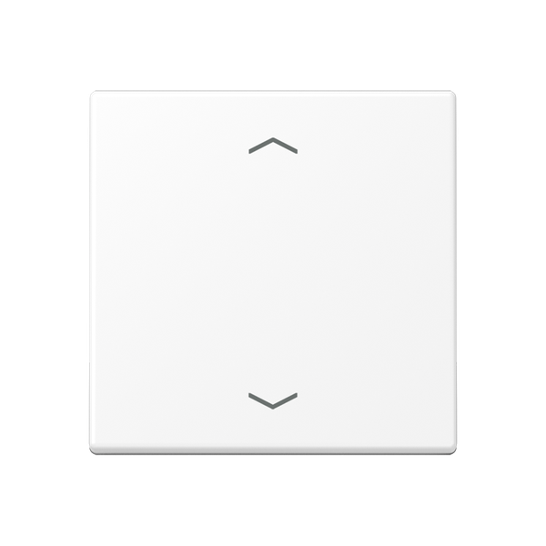 Rocker for push-button 1-gang, arrows A101PBFWWM image 2