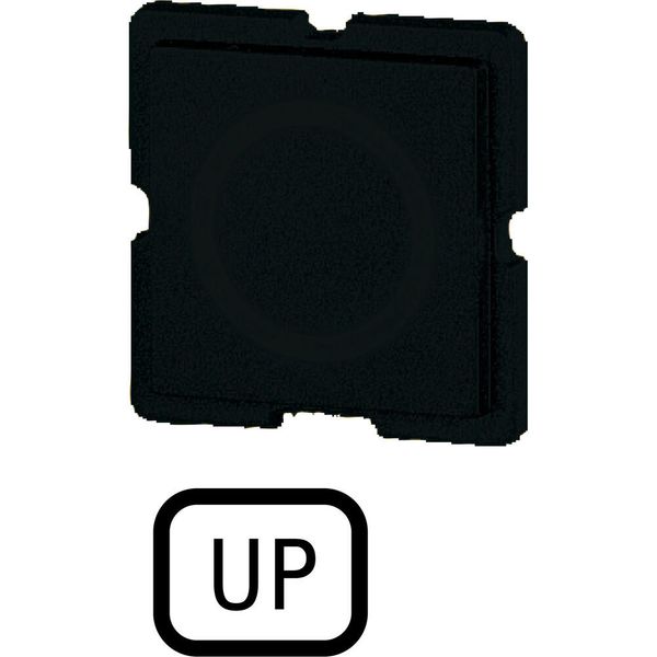 272TQ25 Button plate for push-button, Inscription: UP, 25 x 25 image 2