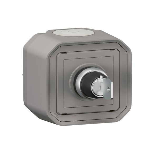 PLEXO RESETTING SWITCH - GREY - SURFACE image 1