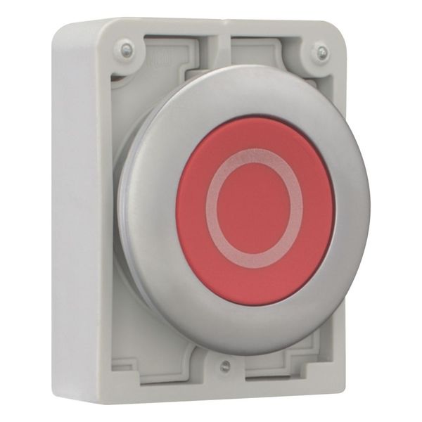 M30C-FD-R-X0 Pushbutton, RMQ-Titan, Flat, momentary, red, inscribed, Metal bezel image 6