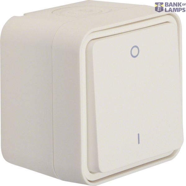 2-pole switch with housing, W.1, polarity white image 1