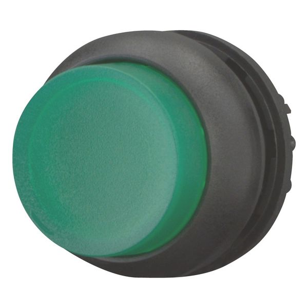 M22S-DLH-G Illuminated pushbutton actuator, RMQ-Titan, Extended, momentary, green, Blank, Bezel: black image 6
