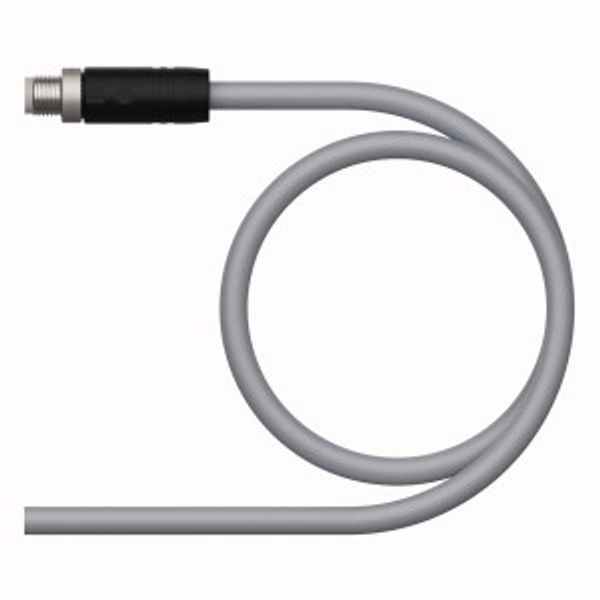 Supply Cable - M12 Power Connection Cable   RSS56PLB-0.5/TXG image 1