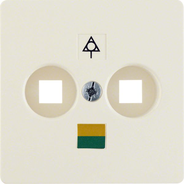 Central plate for soc. out. for floating output, Accessories, white gl image 1