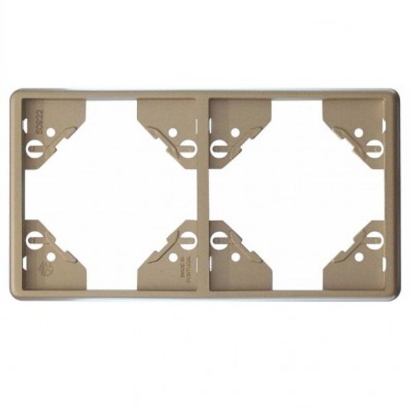 DOUBLE HORIZONTAL FRAME PLATINUM image 1