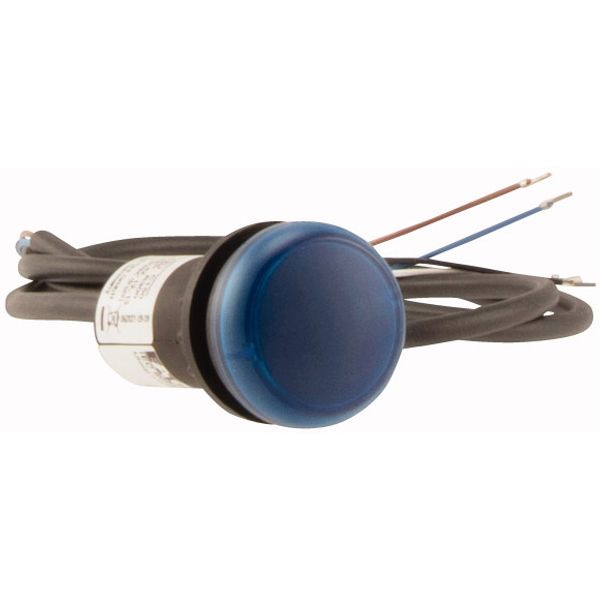 C22-L-B-24-P65 Indicator light, Flat, Cable (black) with non-terminated end, 4 pole, 3.5 m, Lens Blue, LED Blue, 24 V AC/DC image 4