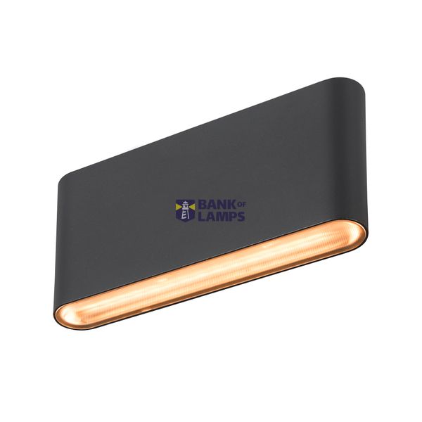 OVAL 18 WL wall-mounted light 2700/3000K, 10W, black image 3