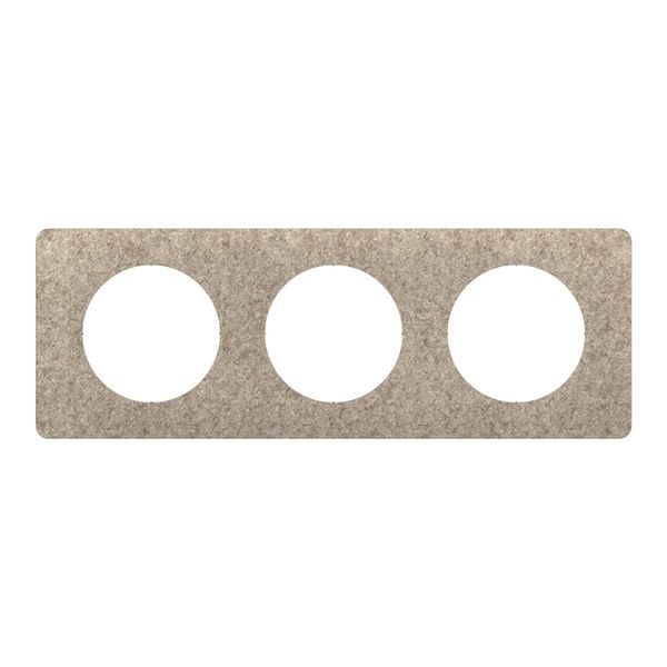 PLATE 3 GANG FELT image 6