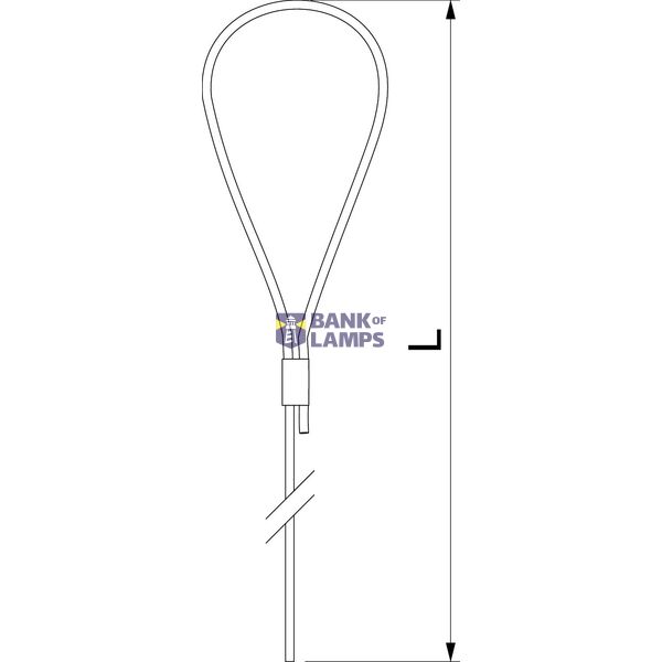 QWT S 1 1M G Suspension wire with loop 1x1000mm image 2