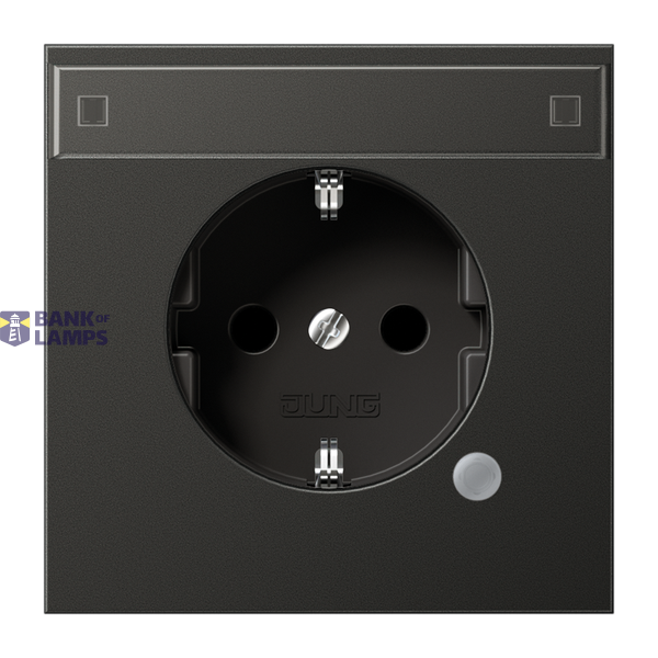 SCHUKO socket, 16 A 250 V ~, with function indicator, integrated increased contact protection, SAFETY+, painted aluminum, LS series, anthracite image 1