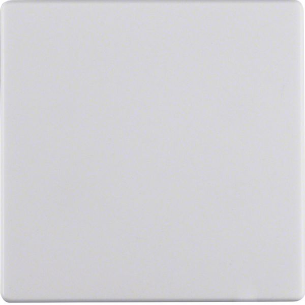 Rocker, Q.1/Q.3, p. white velvety image 1