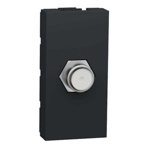 TV Socket F-Type New Unica 1 Module Anthracite image 1