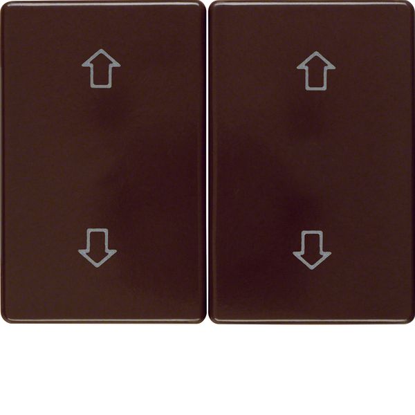 Rocker 2gang imprinted arrows symbol, arsys, brown glossy image 1