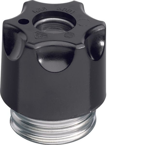 Screw caps DIII E33 63A plastic with indicator hole image 1