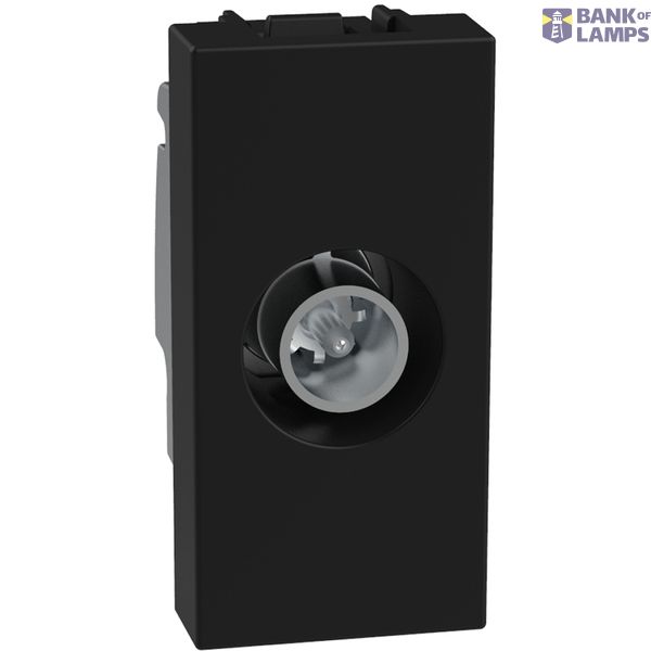 Light Now - socket TV pass-throught 1m d image 1