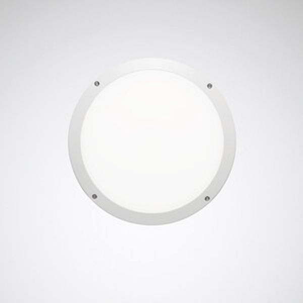 Wall and ceiling luminaire Skeo Circ Multilumencolor 4 Diffuser White ET 21W 2100lm 85 rotationally sym. wide (RB) IP65 IK10 3 SDCM image 1