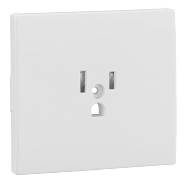 SAF C.PLATE F/EARTH SOCKET (USA NEMA) WHITE image 1