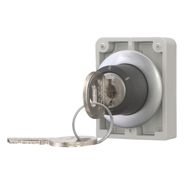 M30C-FWRS3-RS-A1 Key-operated actuator, Flat Front, maintained, 3 positions, Ronis 455, Key withdrawable: 0, Metal bezel image 12