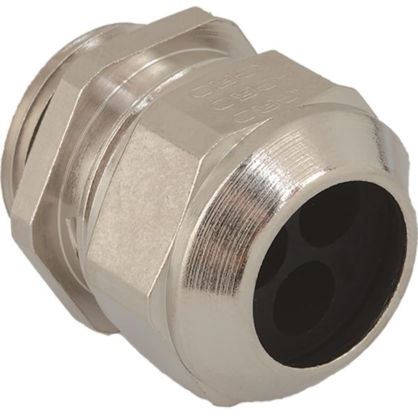 Cable gland Progress brass Pg21 multiple cables 2x Ø6.7-9.0mm image 1