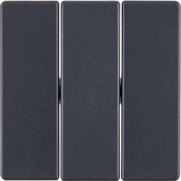 Rocker 3gang, Q.1/Q.3, ant. velvety, lacq. image 1