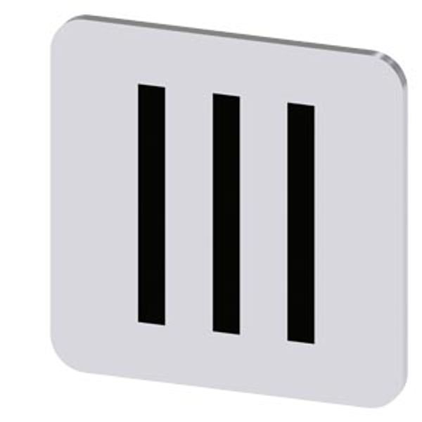 Labeling plate 22x22 mm, silver-colored label, icon: III* image 1