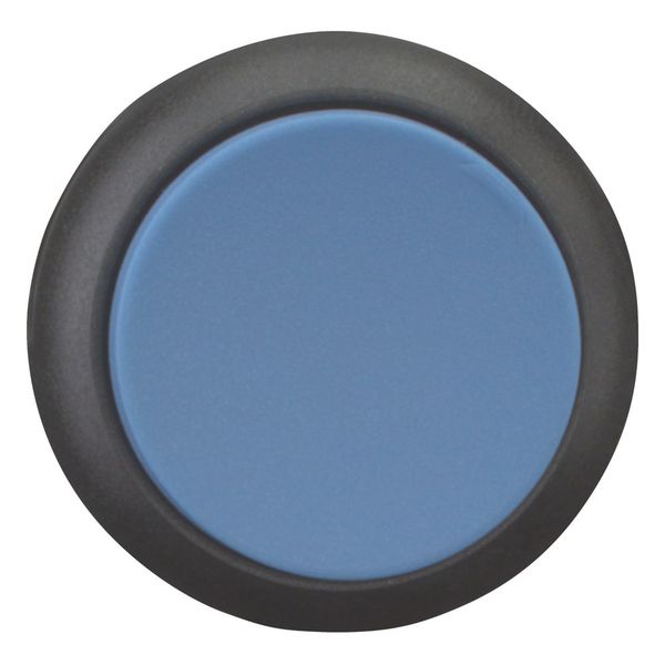 M22S-DRH-B Pushbutton, RMQ-Titan, Extended, maintained, Blue, Blank, Bezel: black image 10