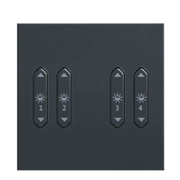 LM-RCB4 b+c+j+k - Rocker switch, 4x, light, anthracite image 1