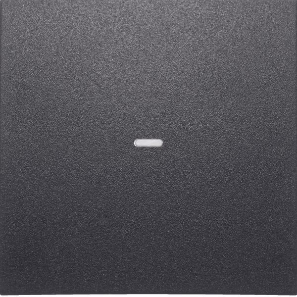 Cover for 1gang for push-button module, clearlens, S.1/B.3/B.7, ant., image 2