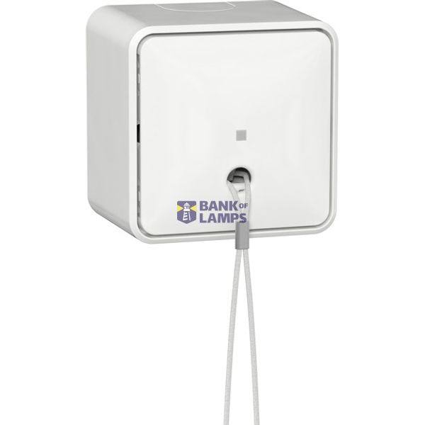 pull-cord sw. off/2-way + mount.pl. SM p.white image 1