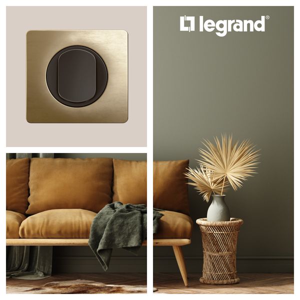 PLATE 2 GANG SATIN BRONZE image 5