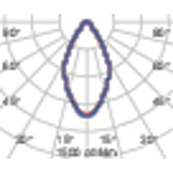 TYK+ 30 81 C/IW 840 ANTHRACITE DALI image 5