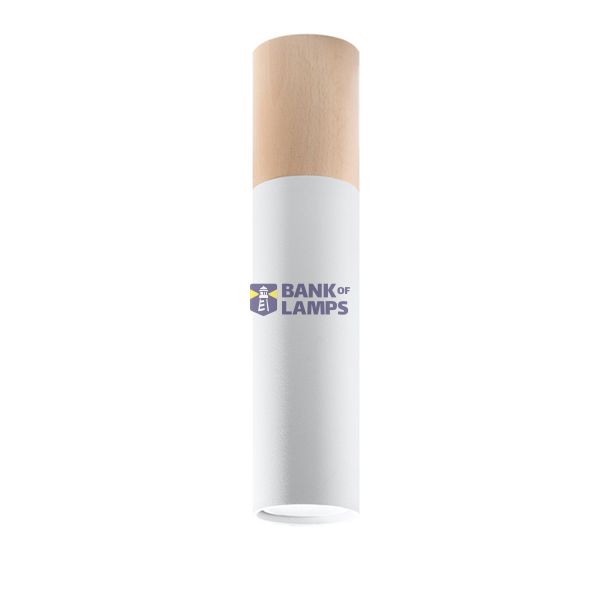SPOT PABLO WHITE GU10 1X40W IP20 image 2