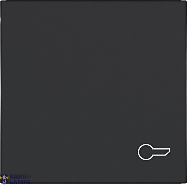 Single rocker, door opener symbol imprint, A.x/C.x, matte night black image 1