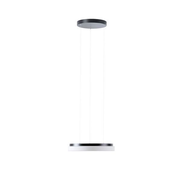 LED-1L17C07ZLE11/425/L100 C 4000 image 1