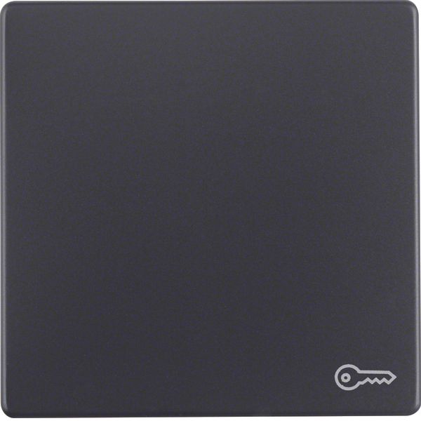 Rocker imprinted symbol for door opener, Q.1/Q.3, ant. velvety, lacq. image 2