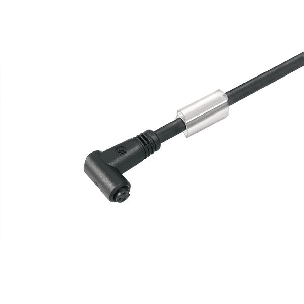 Sensor/actuator line, One end without connector, M8, Number of poles : 3, 5 m, Socket, angled, Shielded: No, LED: No, Sheath material: PUR, Halogen: No image 1