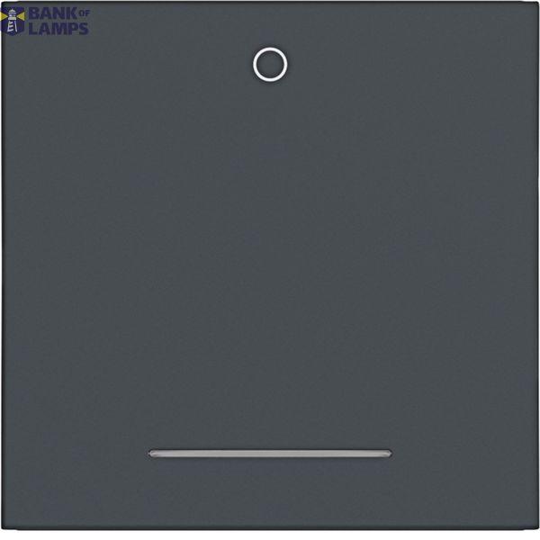 Rocker single with "0" imprint, clear lens, A.x/C.x, night black matte image 1