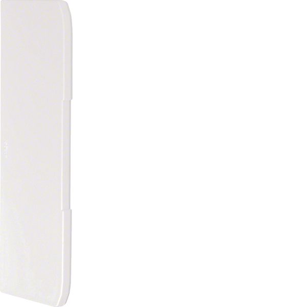 Endcap overlapping for wall trunking BRN 70x210mm of PVC in pure white image 1