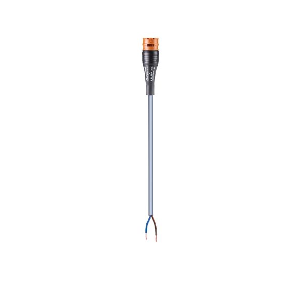 CABLE ASSEMBLY RST20I2K1B-315OL 40BR0 image 1