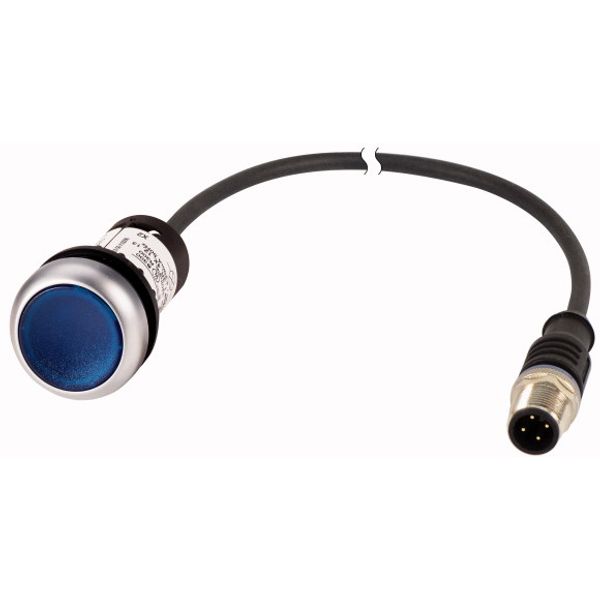 C22-DRL-B-K10-24-P5 Illuminated pushbutton actuators, maintained, blue, 24v, 1 N/O, with cable 1m and M12A plug image 1
