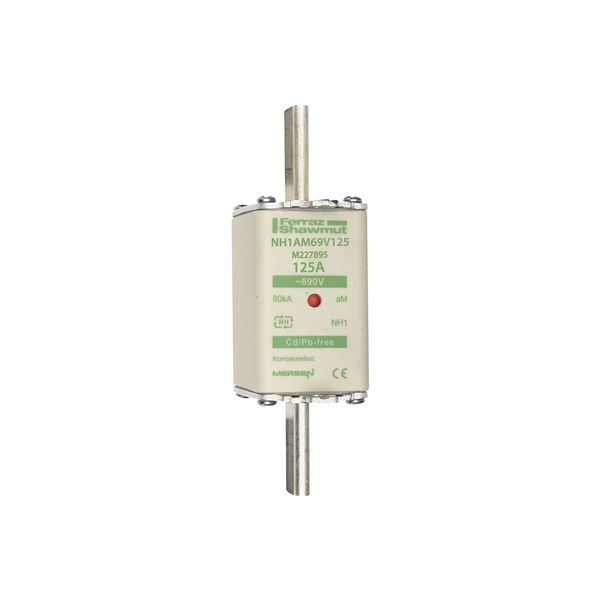 Fuse-link NH1 aM 690VAC 125A live tags Double indicator image 1