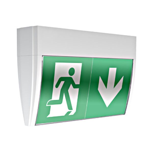 Emergency luminaire PX self-contr. HP-LED 3h 230V AC ceil. image 1