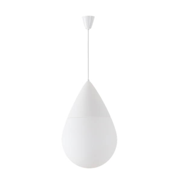 LED5L06E4501L12E500ZS11/452/L100 2/1 B4K image 1
