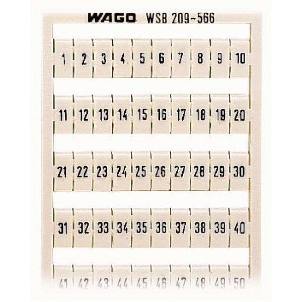 WSB marking card as card MARKED white image 2