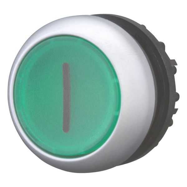 M22-DRL-G-X1 Illuminated pushbutton actuator, RMQ-Titan, Flush, maintained, green, inscribed, Bezel: titanium image 5