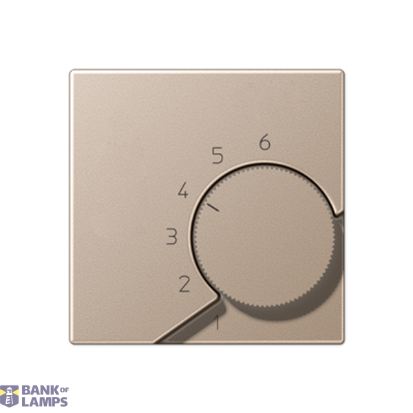 centre plate image 1
