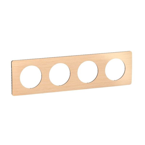 PLATE 4 GANG BEECH image 2