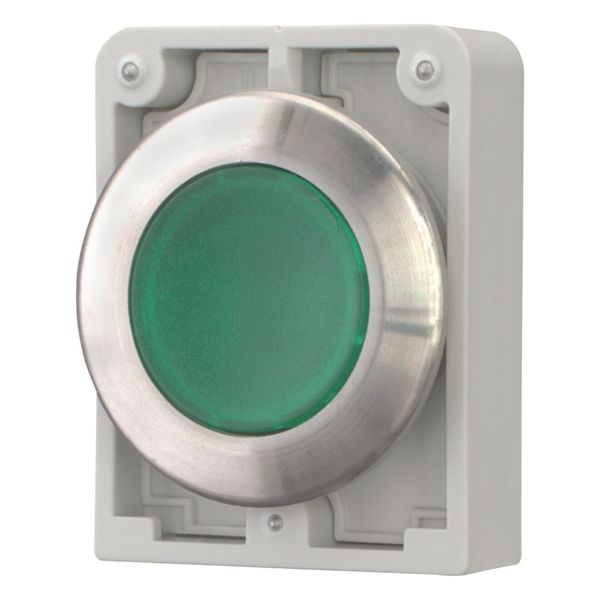 M30I-FDL-G Illuminated pushbutton actuator, RMQ-Titan, flat, momentary, green, blank, Front ring stainless steel image 6