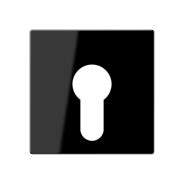 Cover plate f. key switch A525PLSW image 1