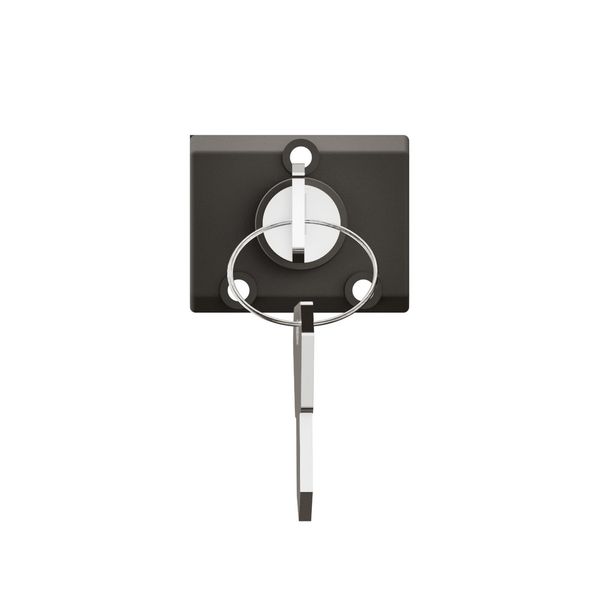 SWITCH WITH KEY image 4